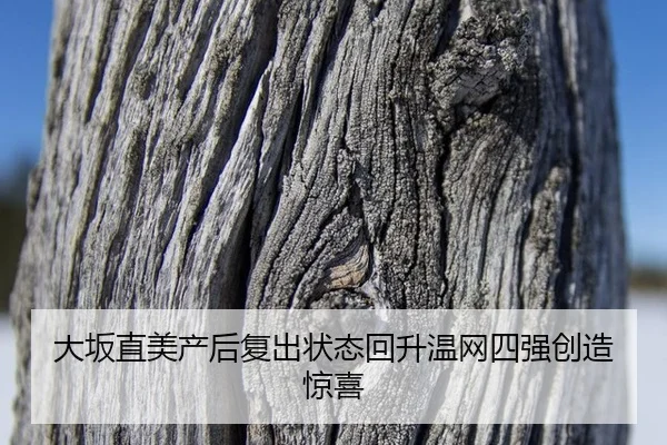 da-ban-zhi-mei-chan-hou-fu-chu-zhuang-tai-hui-sheng-wen-wang-si-qiang-chuang-zao-jing-xi-2-239.jpg